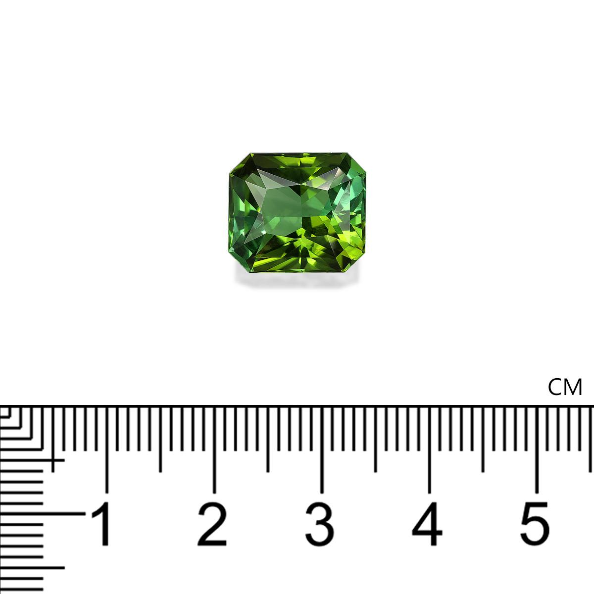 Green Tourmaline 8.30 ct